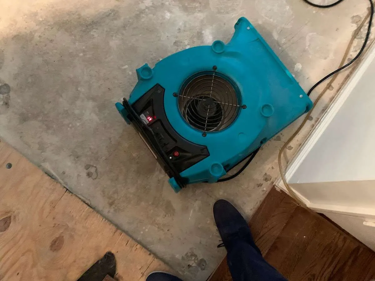Air mover drying subfloor during Leak Detection & Repair in North Springfield
